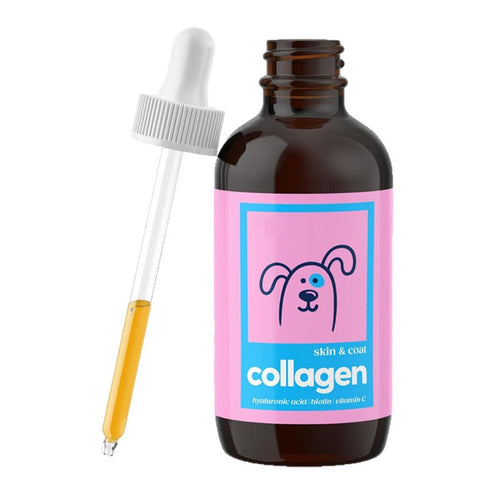 PawGo Pet Collagen Liquid Supplement