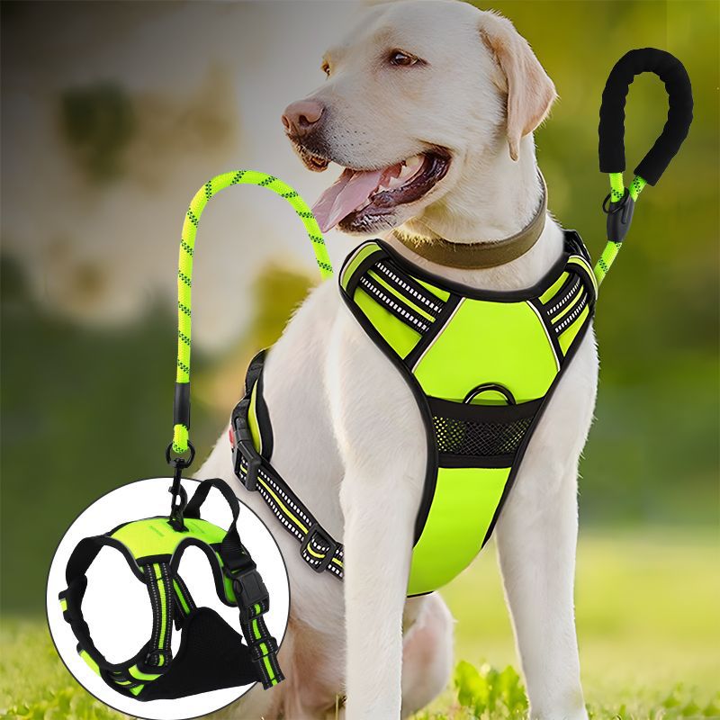 PawGo Reflective Dog Harness and Leash