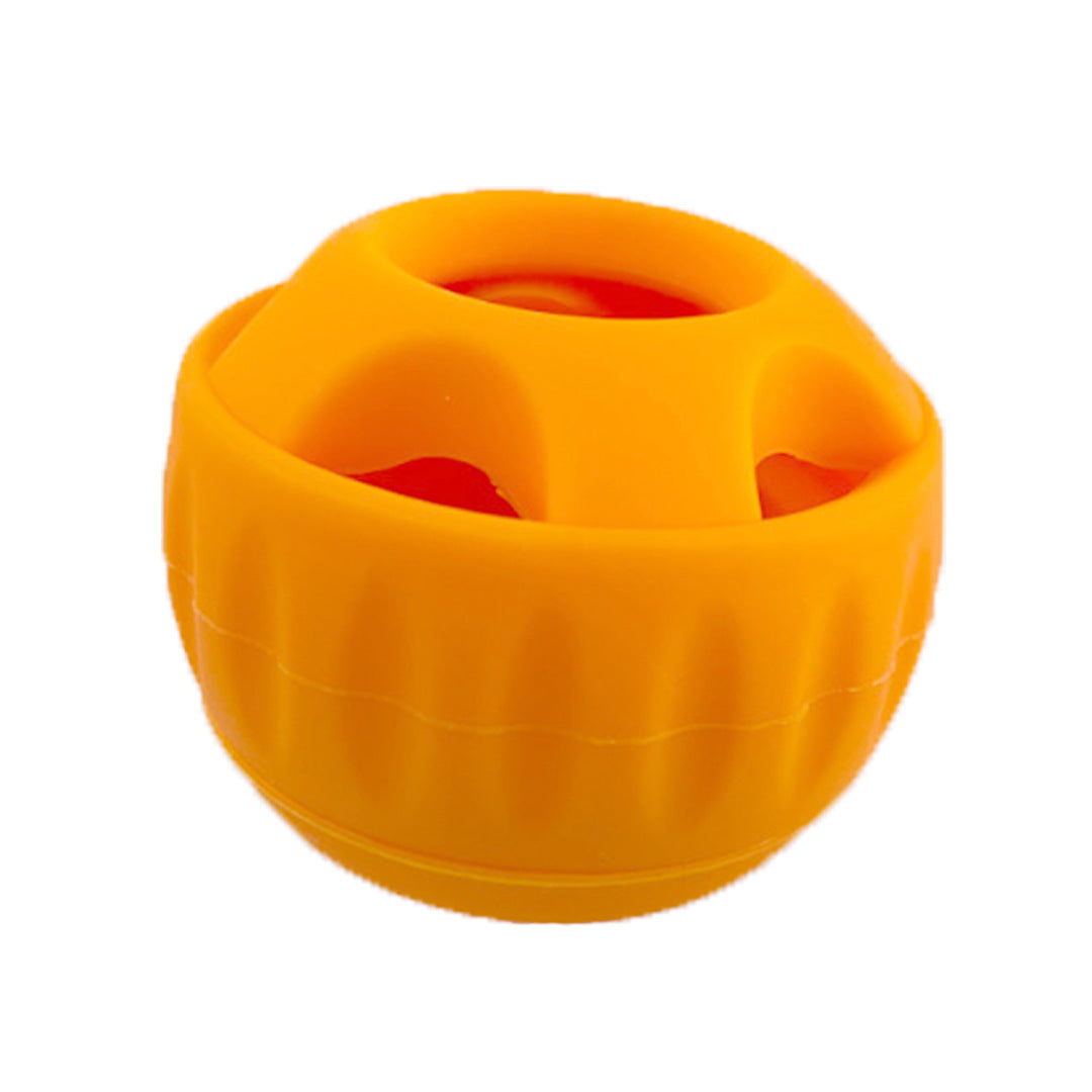 PawGo Pet Feeding Toy