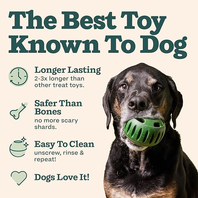 PawGo Pet Feeding Toy